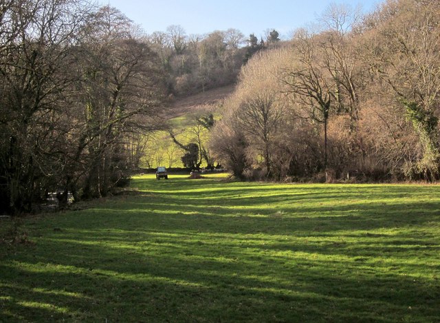 Meadow by the Bovey