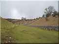 Head of Biggin Dale