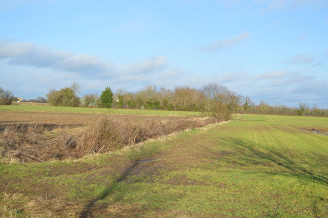 Field boundary