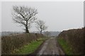 Muddy road, Orton Moss