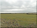 Over the fields towards Aldeburgh