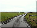 Farm track from the Coach Road to Mossborough Hall