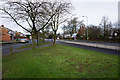 Grass verge by Warrington Road