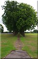 Tree-lined footpath, Alexandra Recreation Ground, King Charles Road, Tolworth