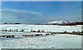 Towards Criffel