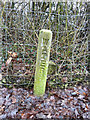 Water - a marker post on Moss Bank Road