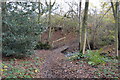 Footbridge, Strood Copse