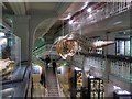 SJ8496 : Sperm Whale Skeleton, Living Worlds Gallery by David Dixon