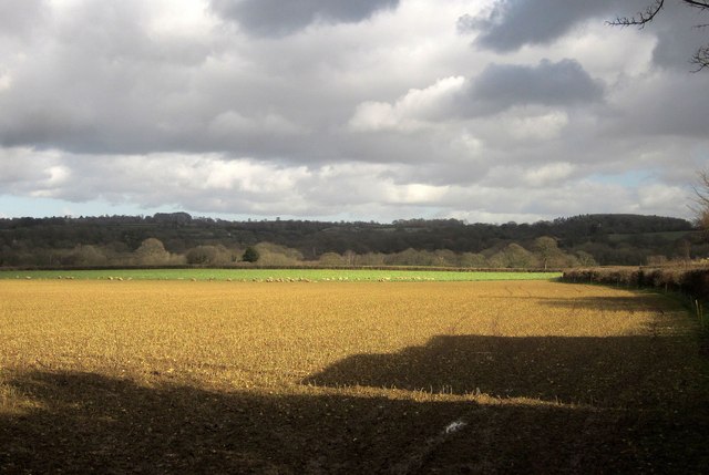 Farmland near Forton