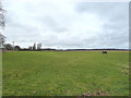 Field at Watery Lane Farm