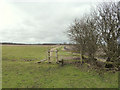 Footpath to Moss Farm from Watery Lane Farm, Windle