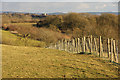 View from Windmill Hill