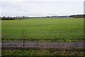 Grassy farmland near Cronton