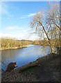 The River Don at Conisbrough