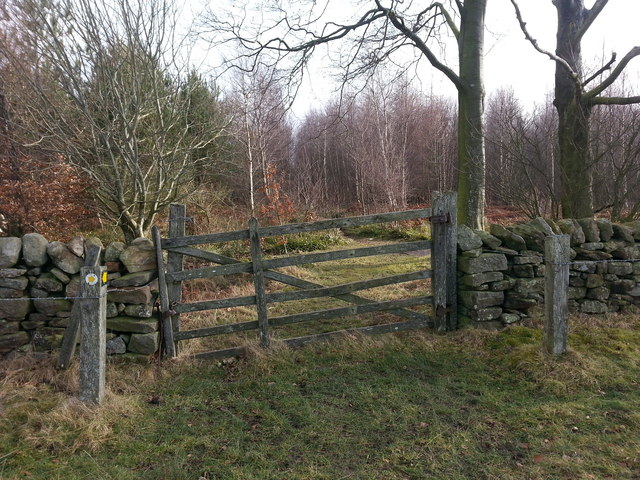 Gate into High Wood next to footpath that follows northern and eastern field boundary