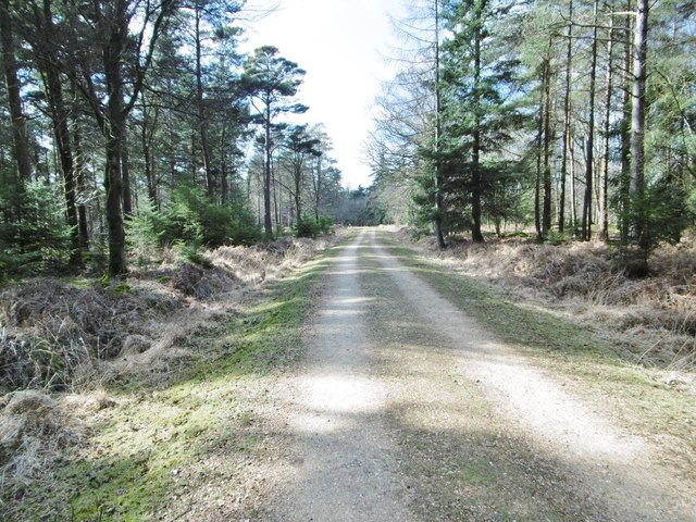 Parkhill Inclosure, cycle route