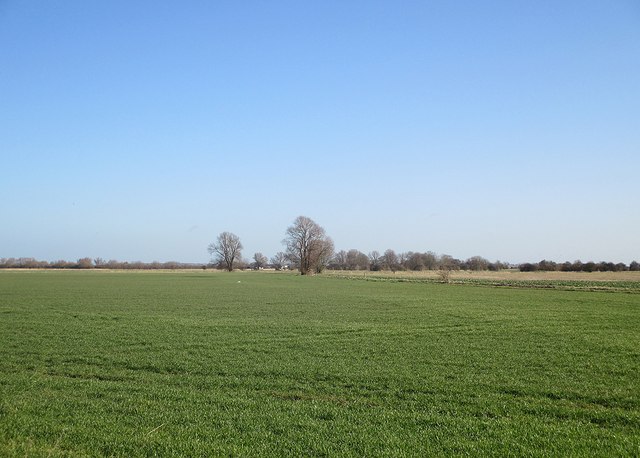 A winter morning in the Fens © John Sutton :: Geograph Britain and Ireland