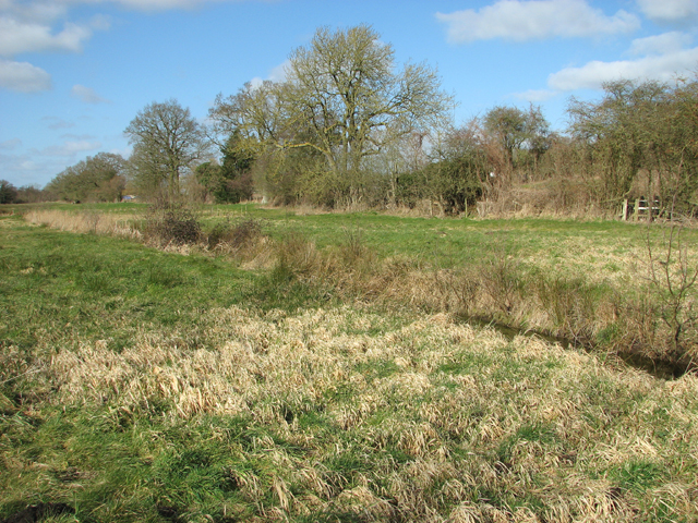 Drainage ditch in cattle pasture beside the River Bure
