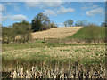 TG2521 : Fields by Bridge Farm by Evelyn Simak