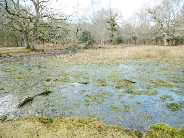 Park Hill, pond