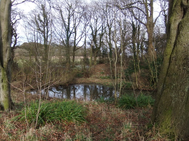 Pond by Carr Lane Scalby