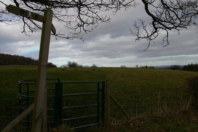 Offa's Dyke Path leaves the lane, north of Tyn-y-Groes