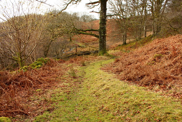 Track to Minnigaff at Castle Brae