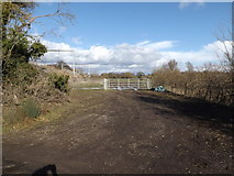TM1176 : Field entrance off Mellis Road by Geographer