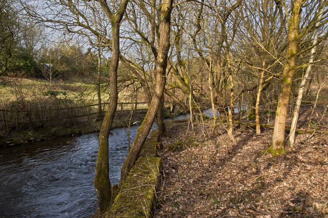 Bradshaw Brook in Seven Acres nature... © Ian Greig :: Geograph Britain ...