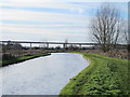 The New River east of the A10 viaduct