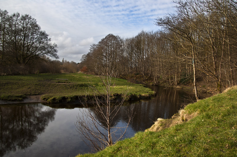 Bradshaw Brook in Seven Acres nature... © Ian Greig cc-by-sa/2.0 ...