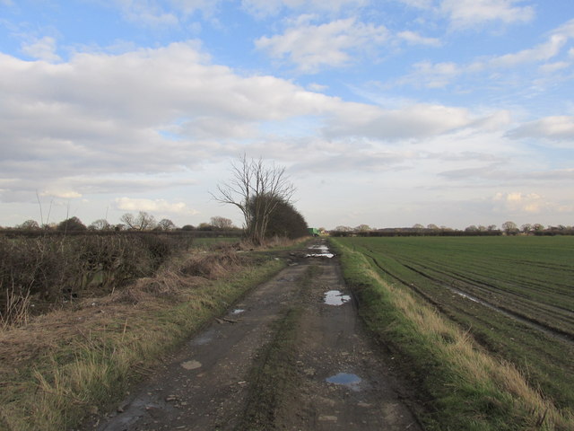 Track from Norton common.