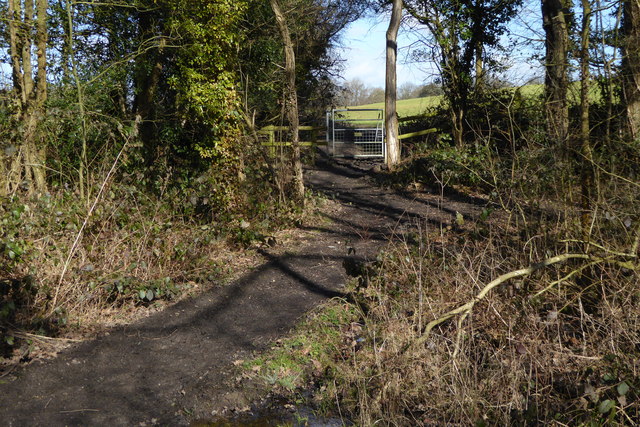Footpath goes north out of woodland