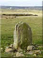 NZ0482 : Standing stone on Shaftoe Moor by Oliver Dixon
