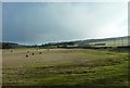 Fields and landscape near Palace Farm