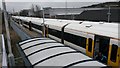 Platform canopy and train roofs at Belvedere Station