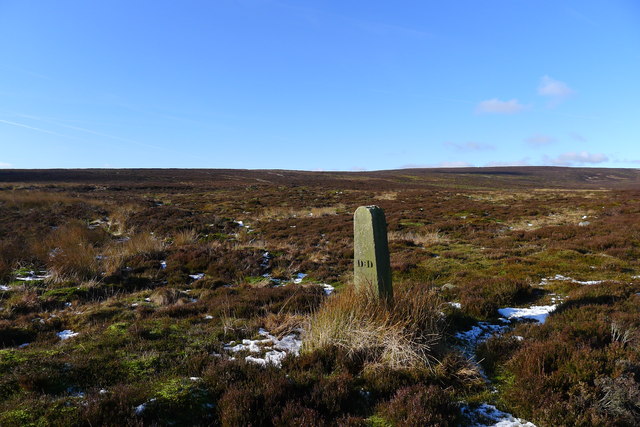 Boundary stone on Barden Moor