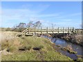 Footbridge over the River Wansbeck