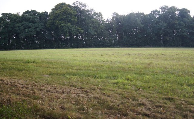 Field bordering Black Wood Forest