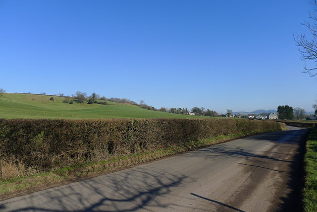 Wraxall Road, leading to Ditcheat