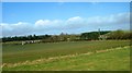 Ploughlands near Littledean Burn