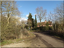 TM1377 : Church Lane, Stuston by Geographer