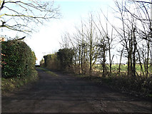 TM1377 : Entrance to Church Cottage & footpath to the A140 by Geographer
