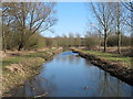 River Brain, Whet Mead Local Nature Reserve, Witham