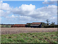 Barns, Walcott