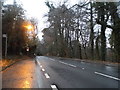 Bus stop on Hindhead Road