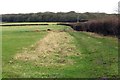 Bridleway to Doddershall Wood