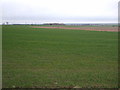 Crop field near Lowfield Farm