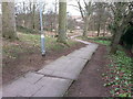 Steps on path descending to Doxford Park Way in small wood