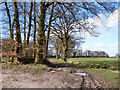 TL8631 : Farm track near Little Wheatley Wood by Robin Webster